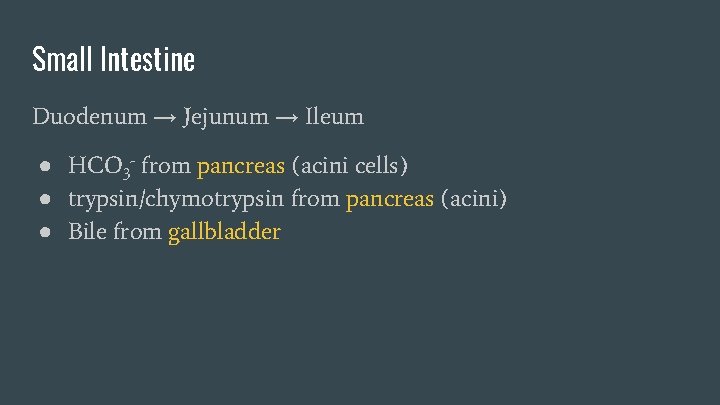 Small Intestine Duodenum → Jejunum → Ileum ● HCO 3 - from pancreas (acini Small Intestine Duodenum → Jejunum → Ileum ● HCO 3 - from pancreas (acini