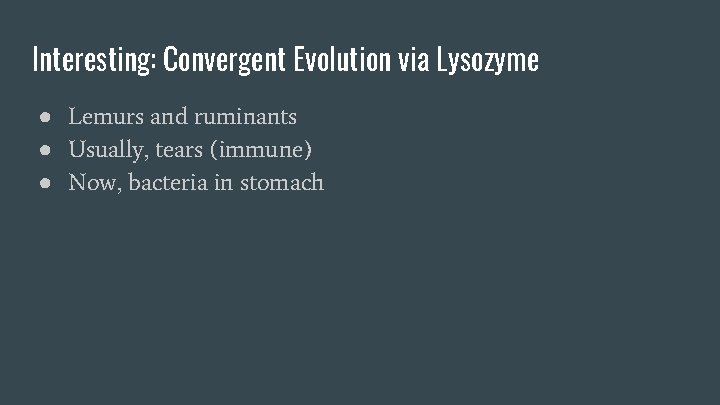 Interesting: Convergent Evolution via Lysozyme ● Lemurs and ruminants ● Usually, tears (immune) ●