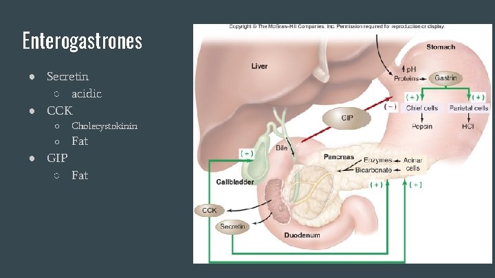 Enterogastrones ● Secretin ○ acidic ● CCK ○ Cholecystokinin ○ Fat ● GIP ○