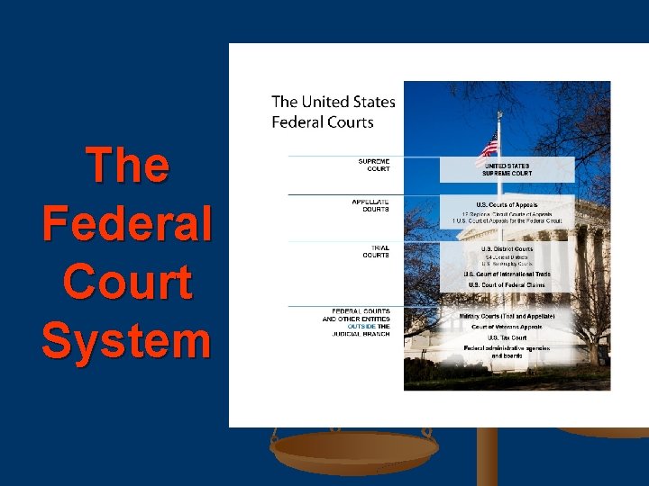 The Federal Court System 
