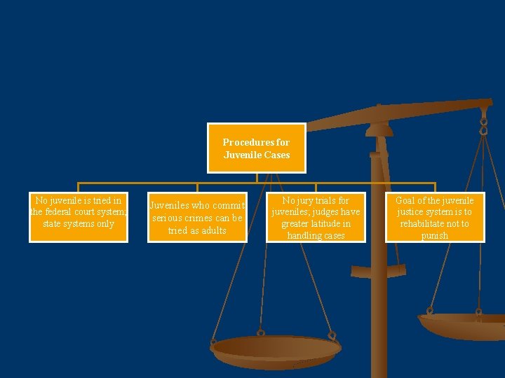 Procedures for Juvenile Cases No juvenile is tried in the federal court system; state