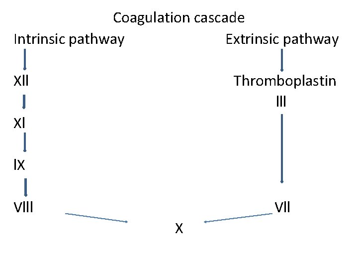 Coagulation cascade Intrinsic pathway Extrinsic pathway Xll Thromboplastin lll Xl l. X Vlll Vll