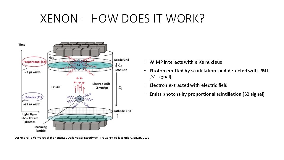 XENON – HOW DOES IT WORK? • WIMP interacts with a Xe nucleus •