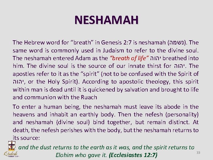 NESHAMAH The Hebrew word for “breath” in Genesis 2: 7 is neshamah ( )נשמה.
