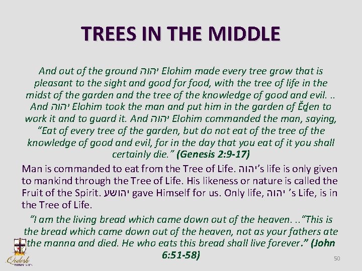 TREES IN THE MIDDLE And out of the ground יהוה Elohim made every tree