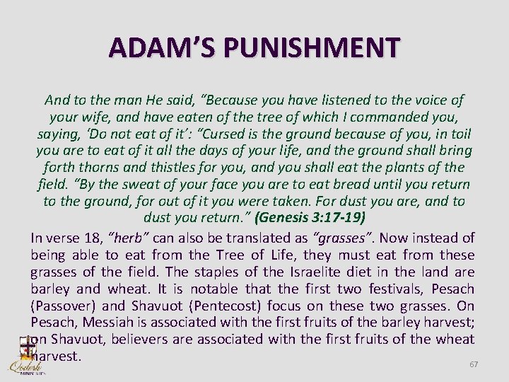 ADAM’S PUNISHMENT And to the man He said, “Because you have listened to the