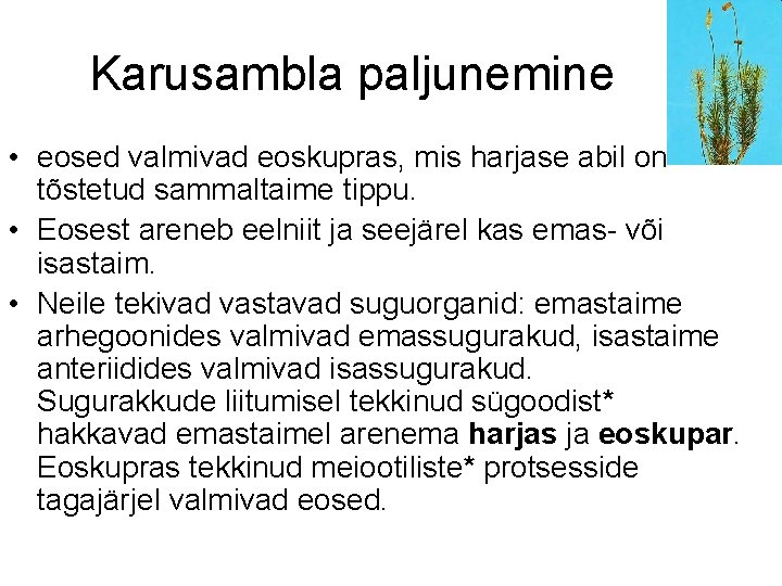 Karusambla paljunemine • eosed valmivad eoskupras, mis harjase abil on tõstetud sammaltaime tippu. •