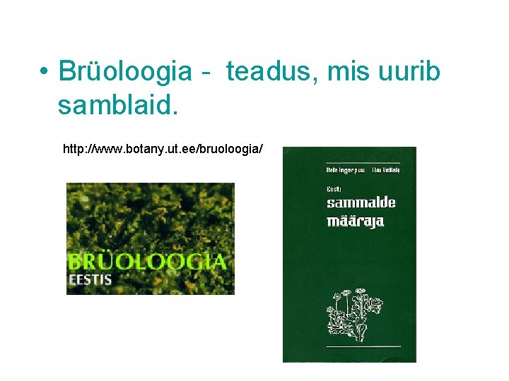  • Brüoloogia - teadus, mis uurib samblaid. http: //www. botany. ut. ee/bruoloogia/ 