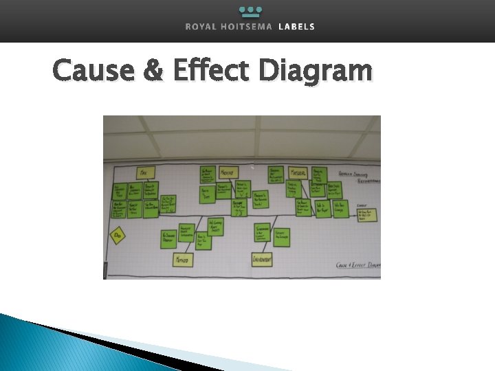 Cause & Effect Diagram 