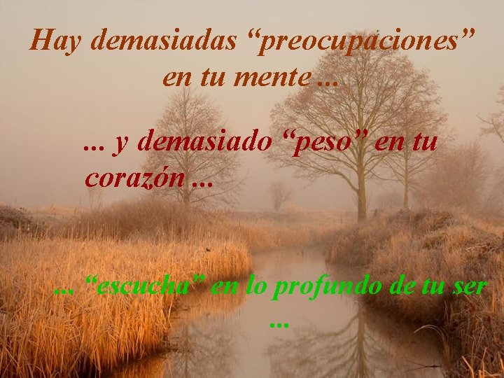 Hay demasiadas “preocupaciones” en tu mente. . . y demasiado “peso” en tu corazón.