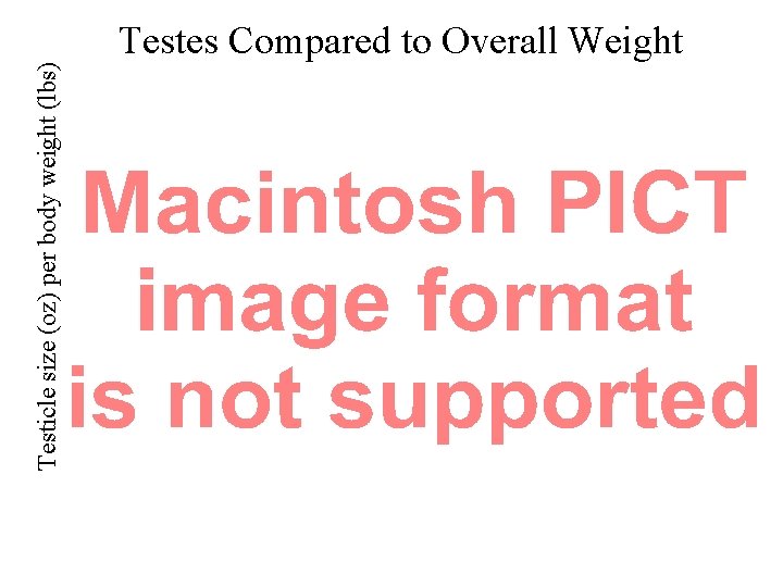 Testicle size (oz) per body weight (lbs) Testes Compared to Overall Weight 