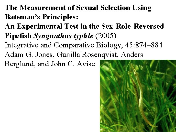 The Measurement of Sexual Selection Using Bateman’s Principles: An Experimental Test in the Sex-Role-Reversed