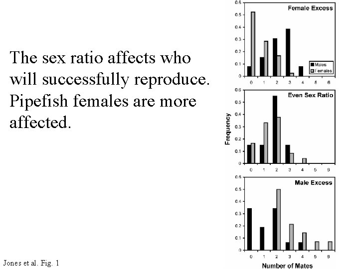 The sex ratio affects who will successfully reproduce. Pipefish females are more affected. Jones