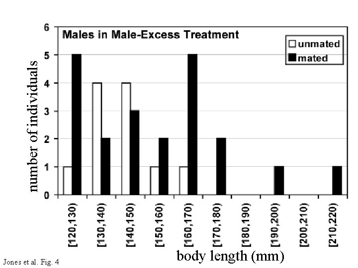 number of individuals Jones et al. Fig. 4 body length (mm) 