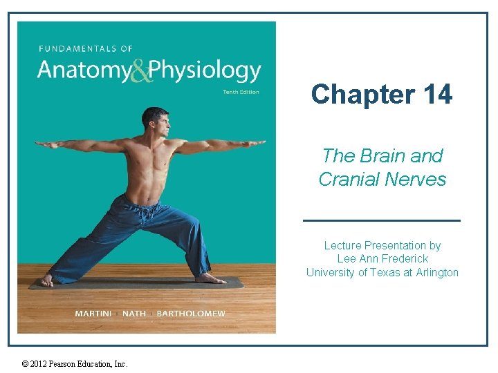 Chapter 14 The Brain and Cranial Nerves Lecture Presentation by Lee Ann Frederick University