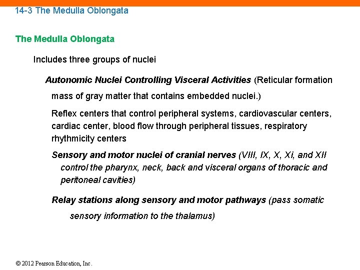 14 -3 The Medulla Oblongata Includes three groups of nuclei Autonomic Nuclei Controlling Visceral