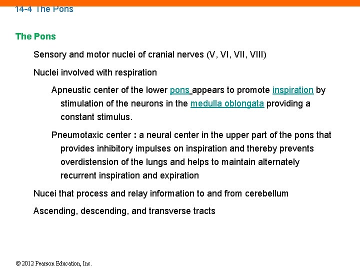 14 -4 The Pons Sensory and motor nuclei of cranial nerves (V, VII, VIII)