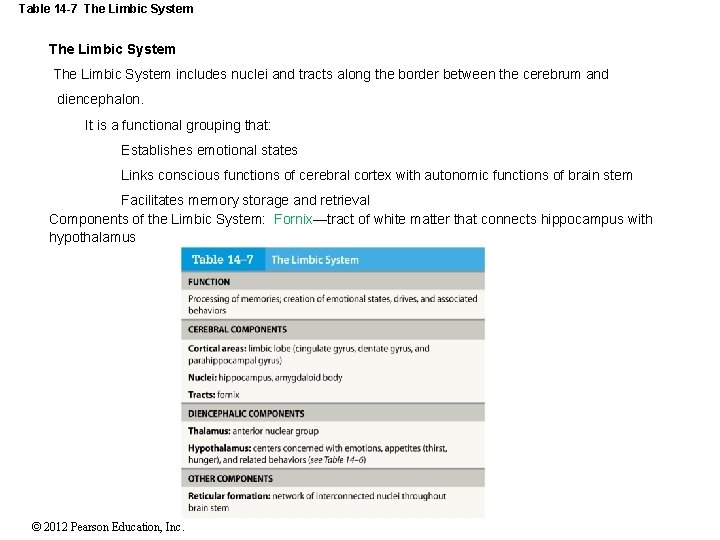 Table 14 -7 The Limbic System includes nuclei and tracts along the border between