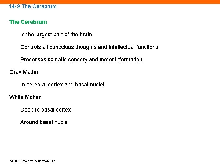 14 -9 The Cerebrum Is the largest part of the brain Controls all conscious