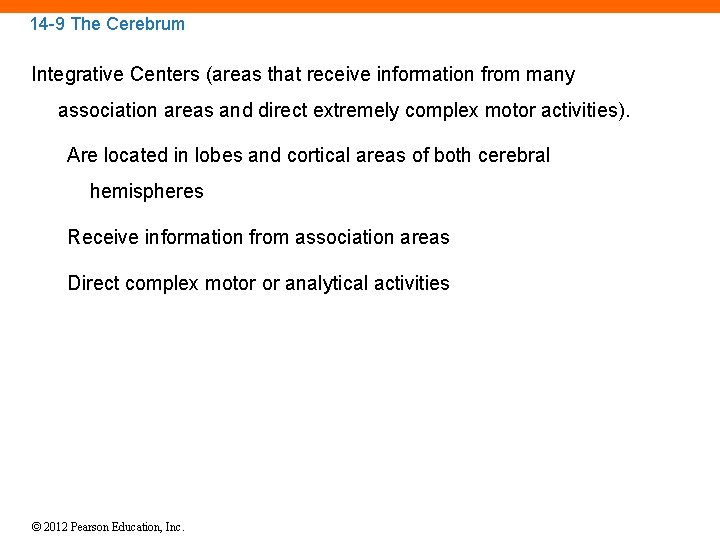 14 -9 The Cerebrum Integrative Centers (areas that receive information from many association areas