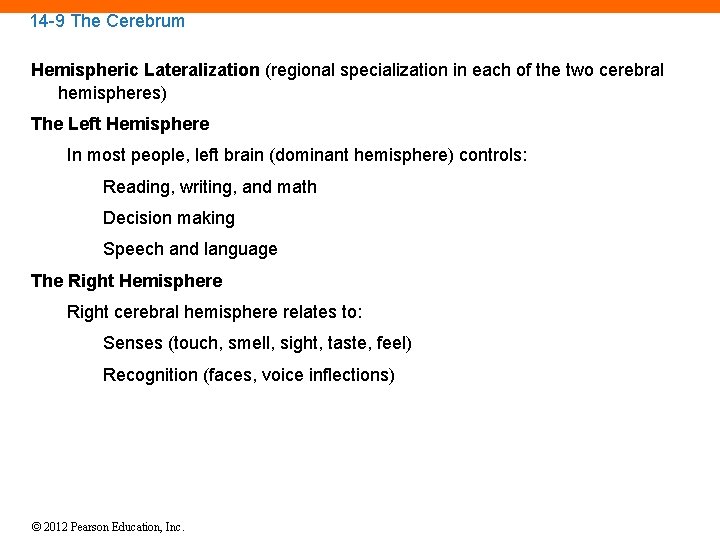 14 -9 The Cerebrum Hemispheric Lateralization (regional specialization in each of the two cerebral