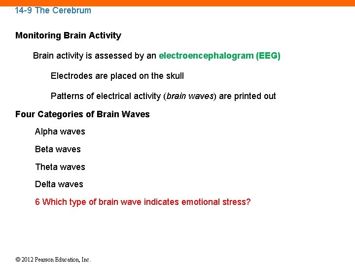 14 -9 The Cerebrum Monitoring Brain Activity Brain activity is assessed by an electroencephalogram