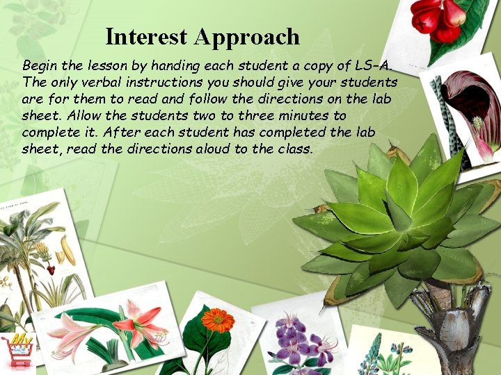 Interest Approach Begin the lesson by handing each student a copy of LS–A. The