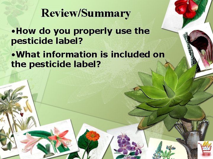 Review/Summary • How do you properly use the pesticide label? • What information is