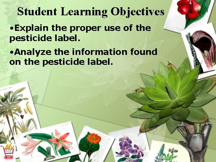 Student Learning Objectives • Explain the proper use of the pesticide label. • Analyze