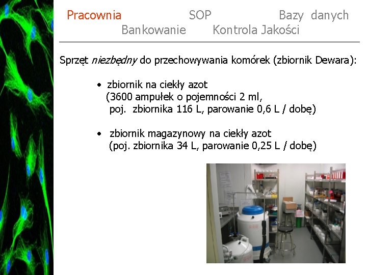 Pracownia SOP Bazy danych Bankowanie Kontrola Jakości Sprzęt niezbędny do przechowywania komórek (zbiornik Dewara):