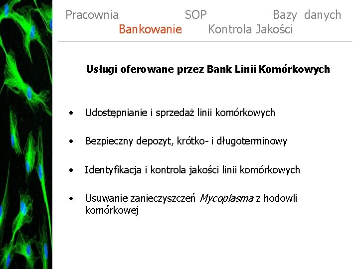 Pracownia SOP Bazy danych Bankowanie Kontrola Jakości Usługi oferowane przez Bank Linii Komórkowych •