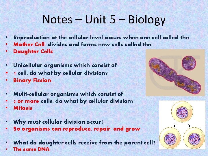 Notes – Unit 5 – Biology • Reproduction at the cellular level occurs when