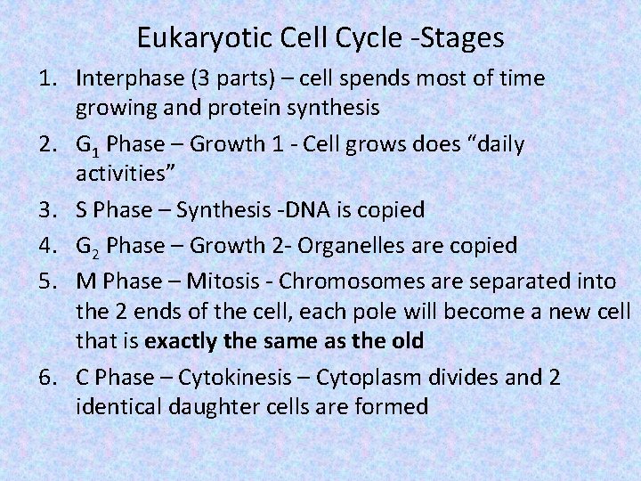 Eukaryotic Cell Cycle -Stages 1. Interphase (3 parts) – cell spends most of time