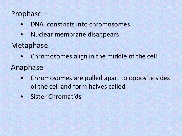 Prophase – • DNA constricts into chromosomes • Nuclear membrane disappears Metaphase • Chromosomes