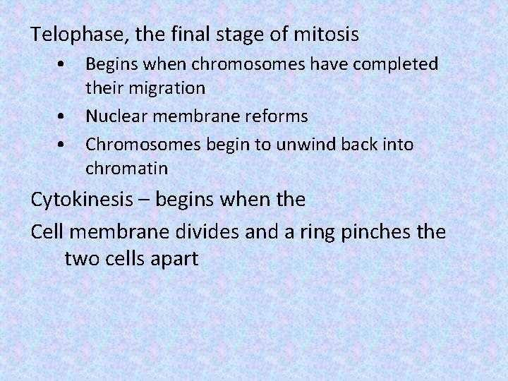 Telophase, the final stage of mitosis • Begins when chromosomes have completed their migration