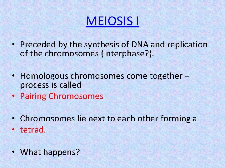 MEIOSIS I • Preceded by the synthesis of DNA and replication of the chromosomes