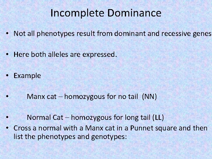Incomplete Dominance • Not all phenotypes result from dominant and recessive genes • Here
