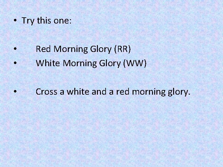  • Try this one: • • Red Morning Glory (RR) White Morning Glory