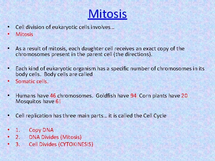 Mitosis • Cell division of eukaryotic cells involves… • Mitosis • As a result