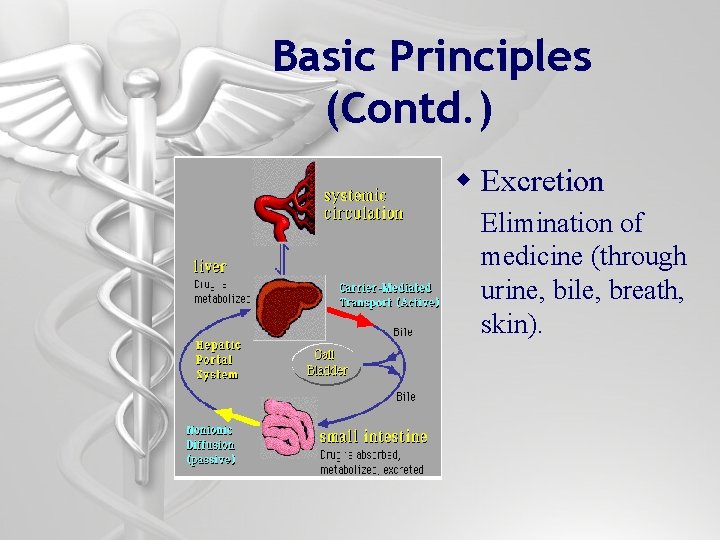 Basic Principles (Contd. ) w Excretion Elimination of medicine (through urine, bile, breath, skin).