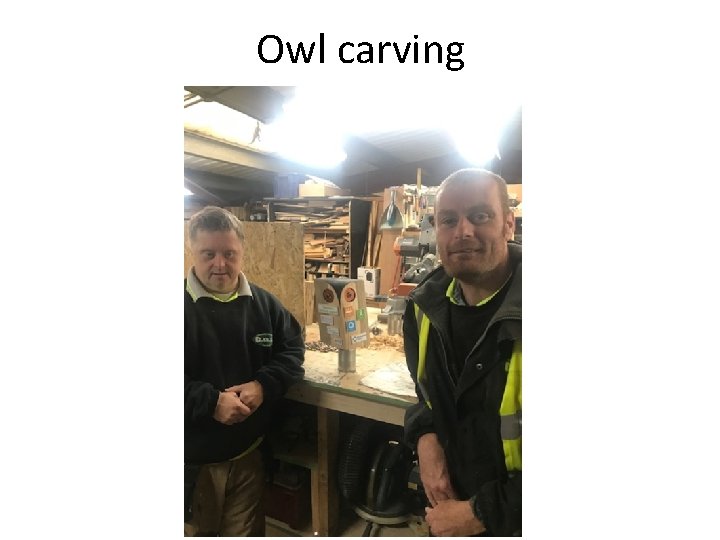 Owl carving 