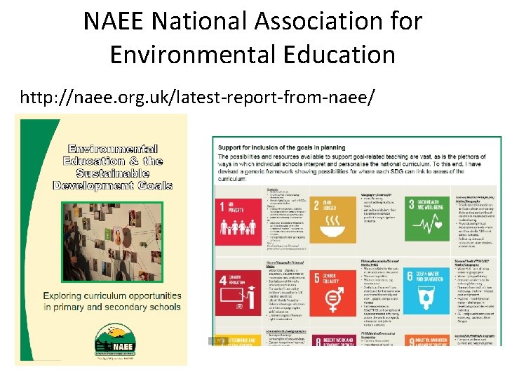 NAEE National Association for Environmental Education http: //naee. org. uk/latest-report-from-naee/ 