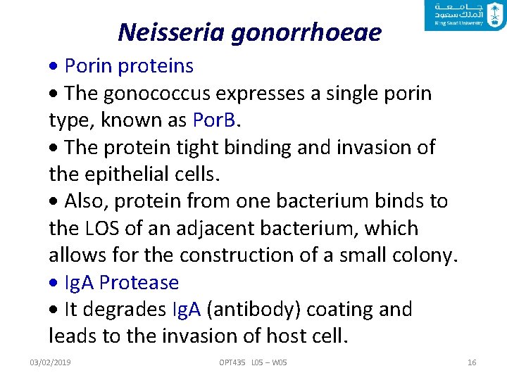 Neisseria gonorrhoeae Porin proteins The gonococcus expresses a single porin type, known as Por.