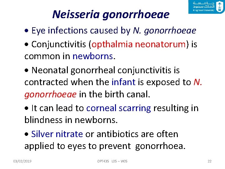 Neisseria gonorrhoeae Eye infections caused by N. gonorrhoeae Conjunctivitis (opthalmia neonatorum) is common in