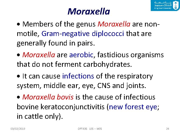 Moraxella Members of the genus Moraxella are nonmotile, Gram-negative diplococci that are generally found