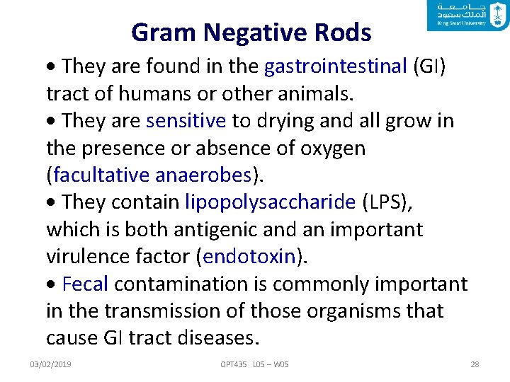 Gram Negative Rods They are found in the gastrointestinal (GI) tract of humans or