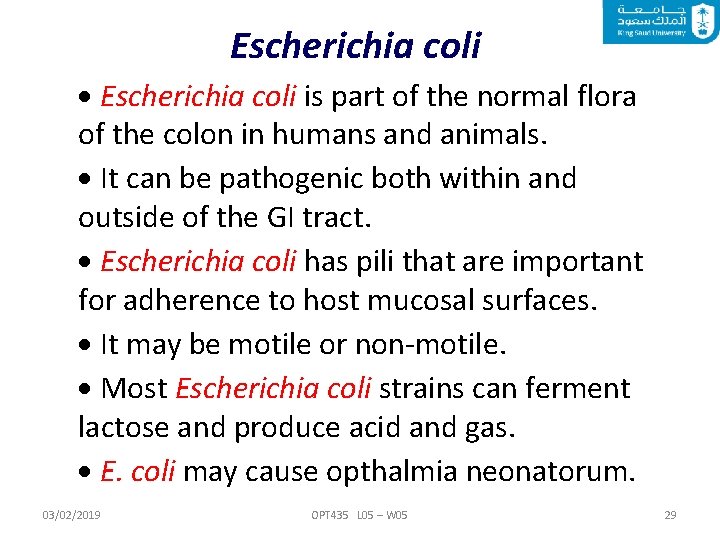 Escherichia coli is part of the normal flora of the colon in humans and
