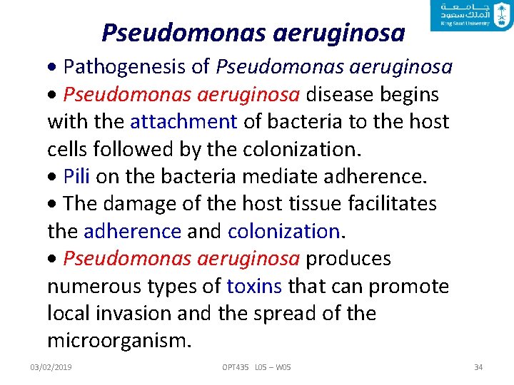 Pseudomonas aeruginosa Pathogenesis of Pseudomonas aeruginosa disease begins with the attachment of bacteria to