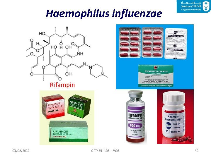 Haemophilus influenzae 03/02/2019 OPT 435 L 05 – W 05 40 