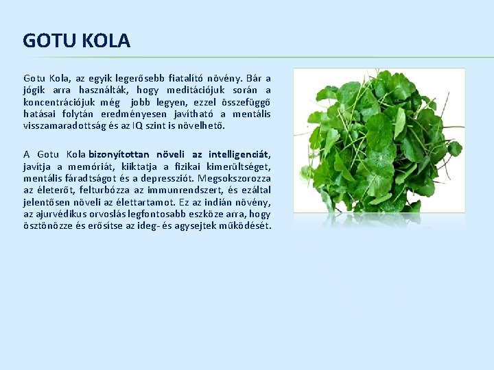 GOTU KOLA Gotu Kola, az egyik legerősebb fiatalító növény. Bár a jógik arra használták,
